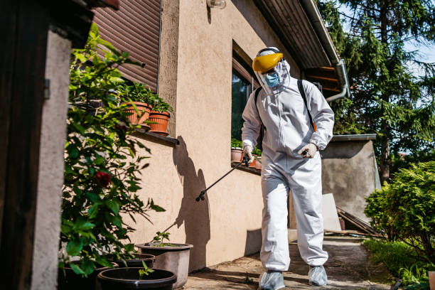 Best Affordable Pest Control Services  in Uhland, TX