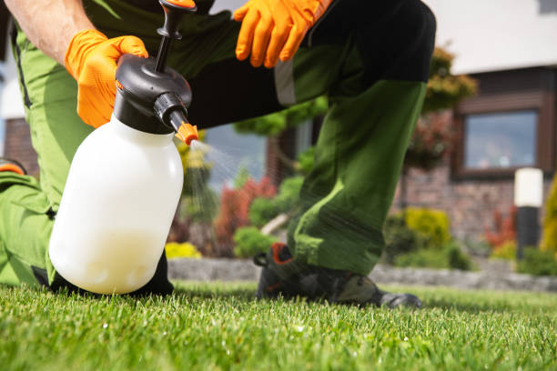Best Pest Prevention Services  in Uhland, TX