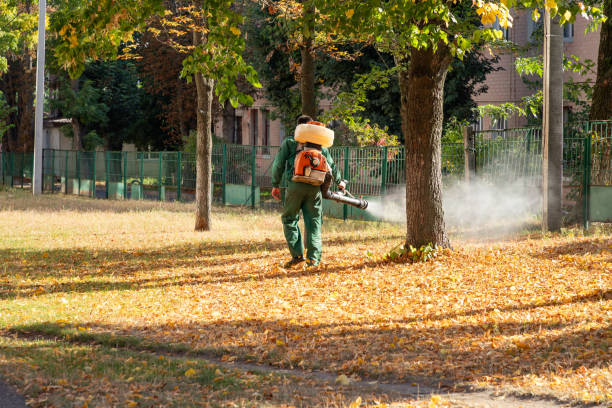 Best Best Pest Control Companies  in Uhland, TX