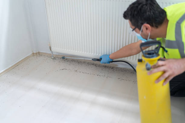 Trusted Uhland, TX Pest Control Experts